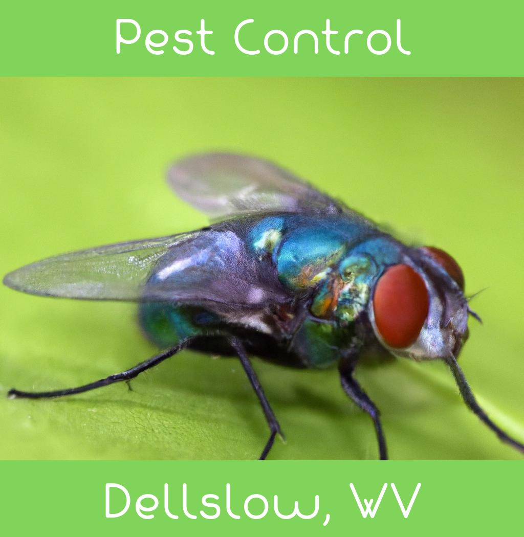 pest control in Dellslow West Virginia