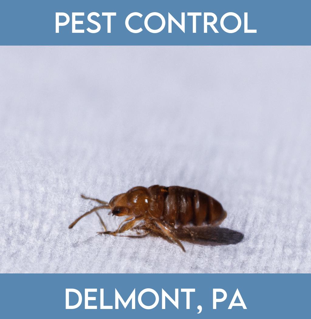 pest control in Delmont Pennsylvania