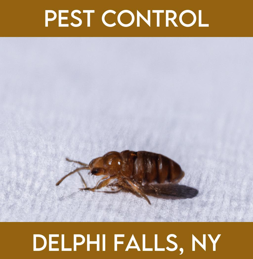 pest control in Delphi Falls New York