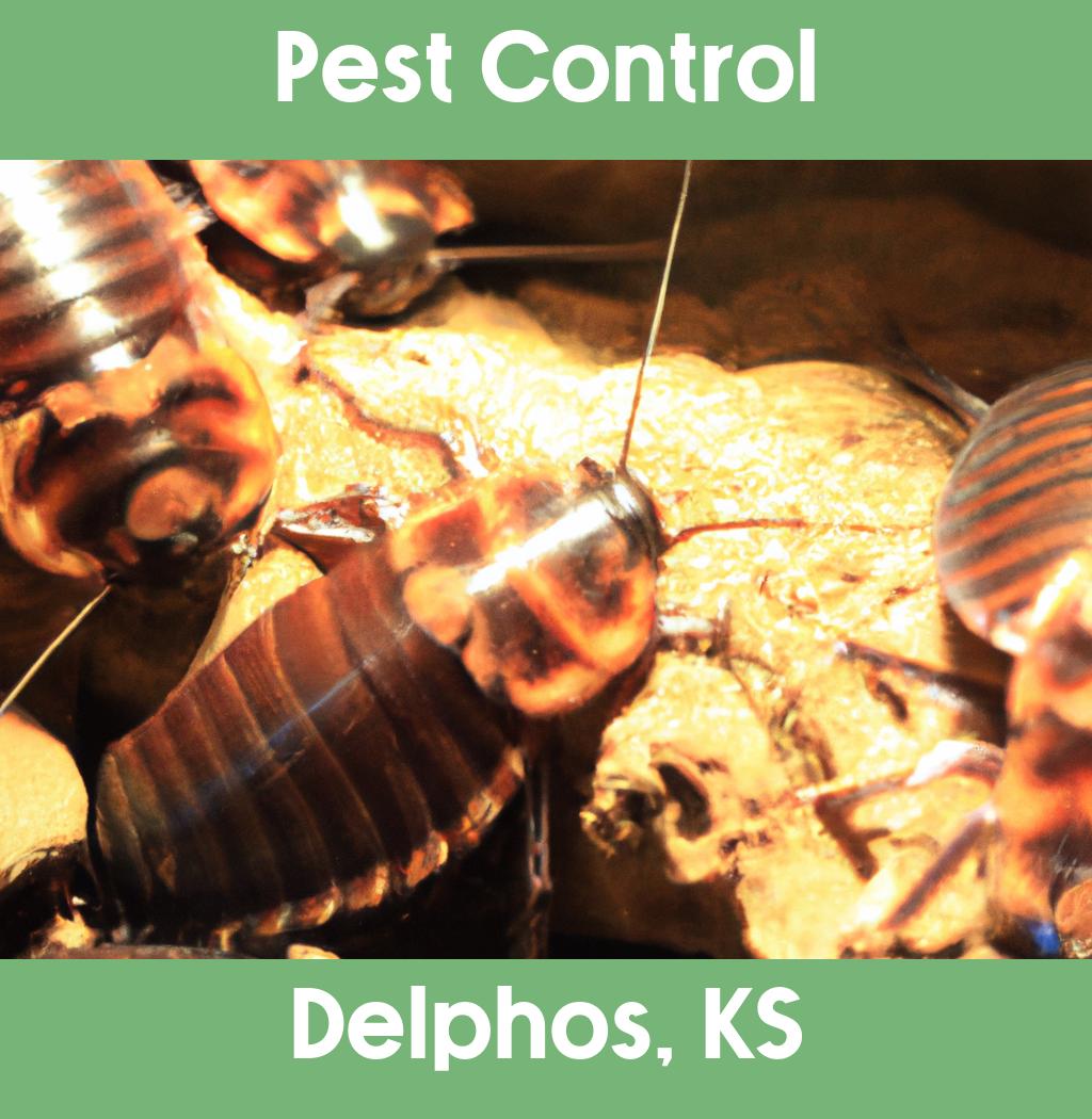 pest control in Delphos Kansas