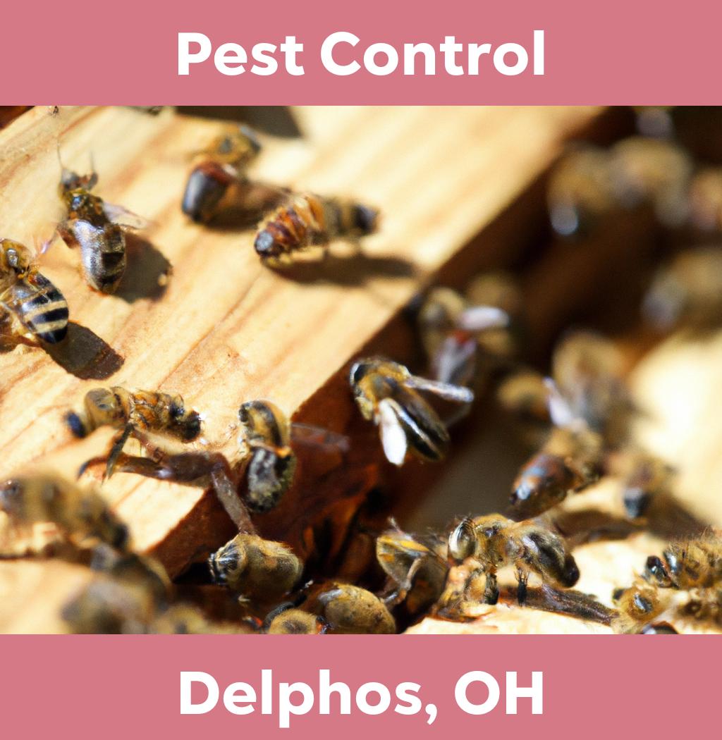 pest control in Delphos Ohio