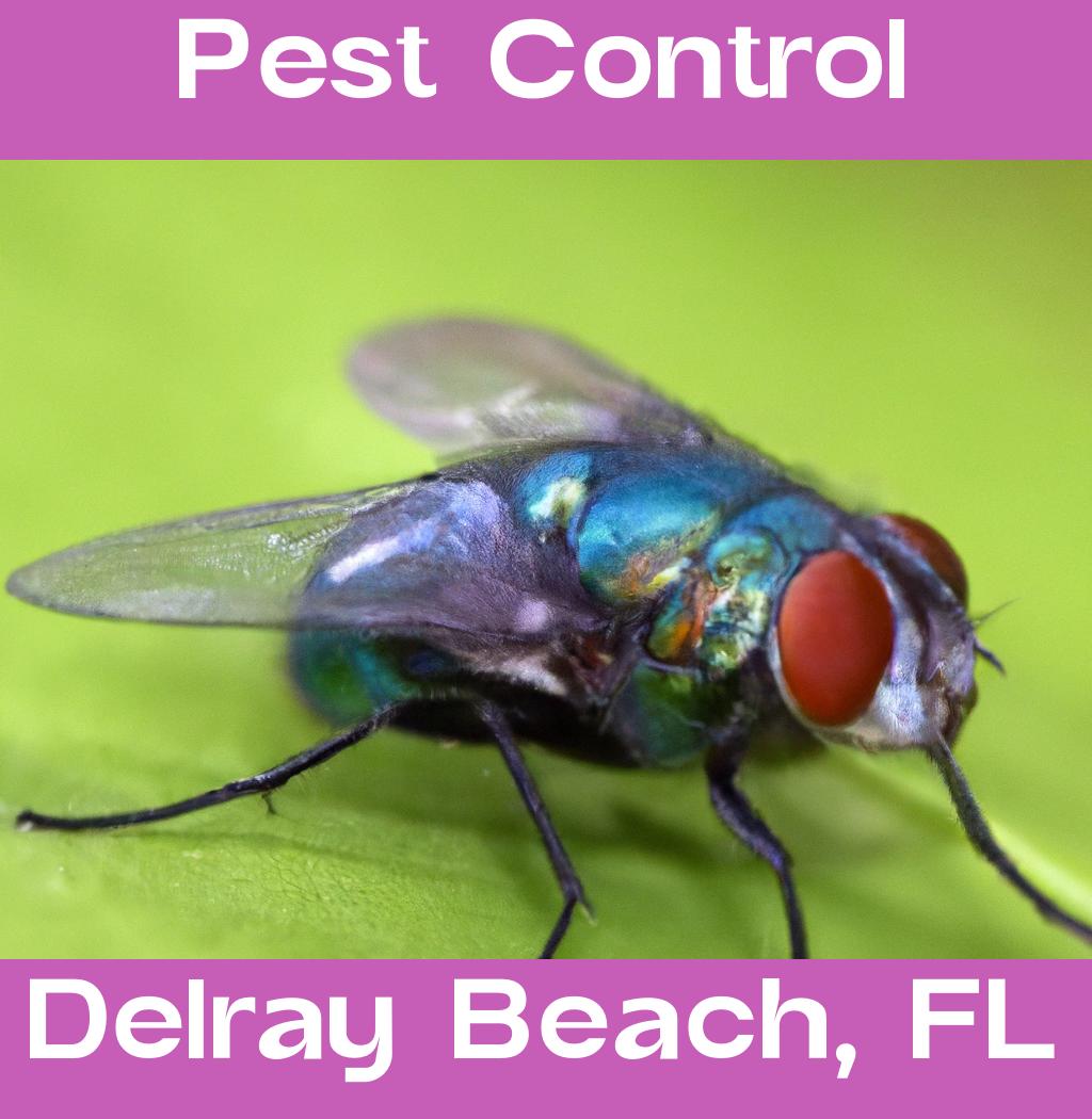 pest control in Delray Beach Florida