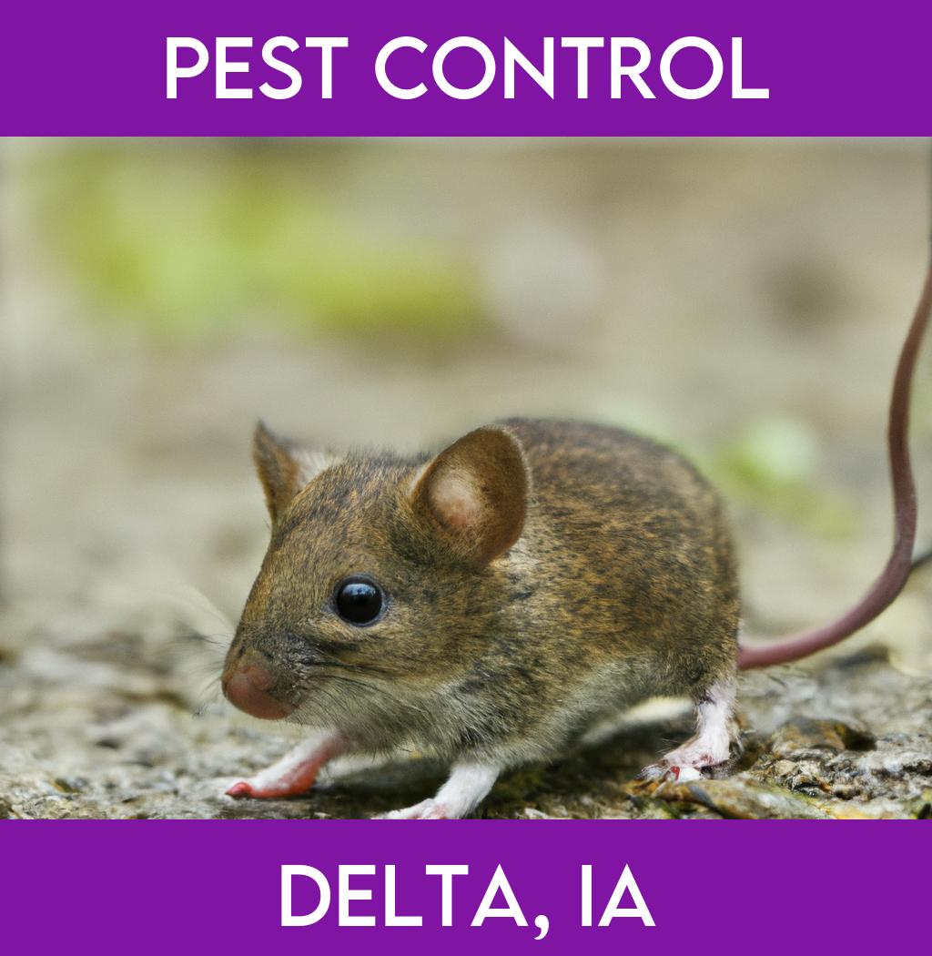 pest control in Delta Iowa