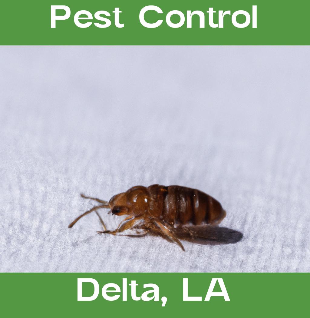 pest control in Delta Louisiana