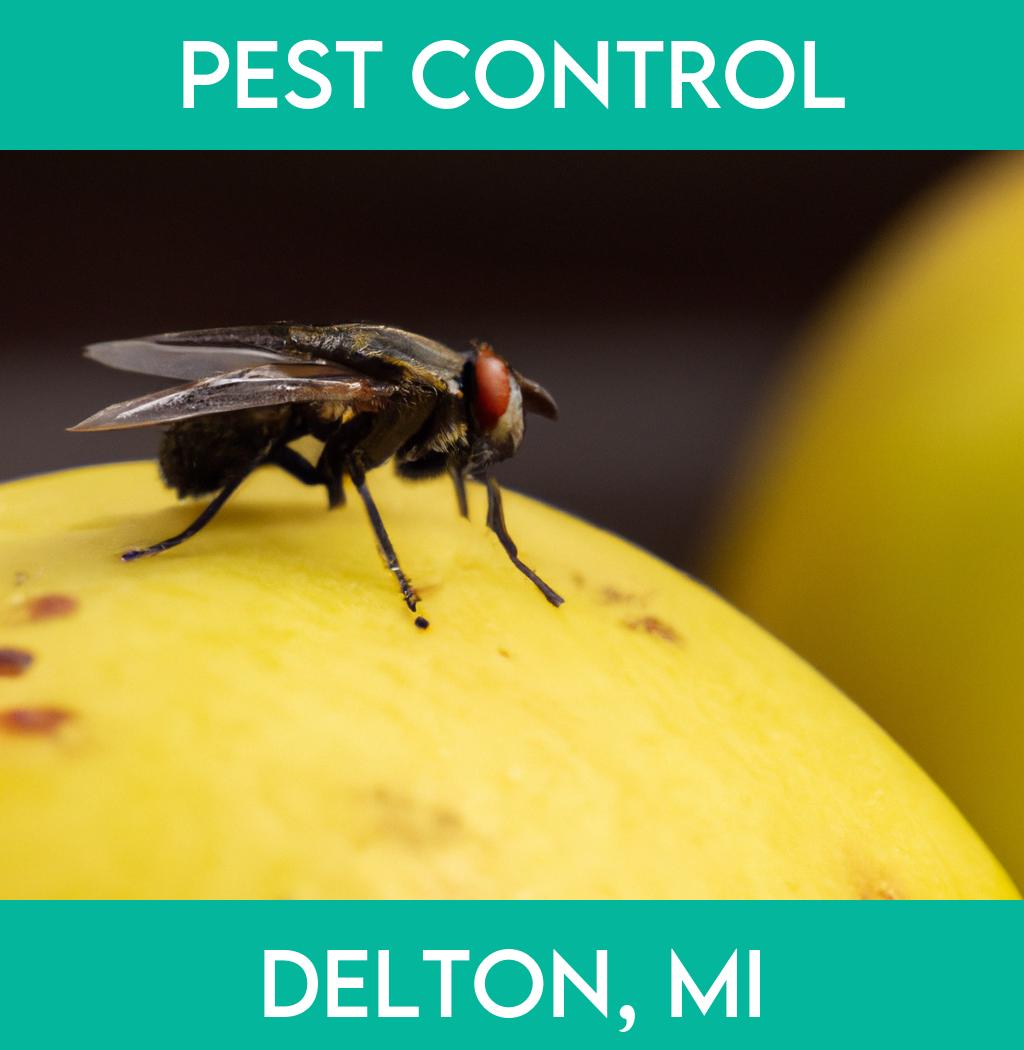 pest control in Delton Michigan