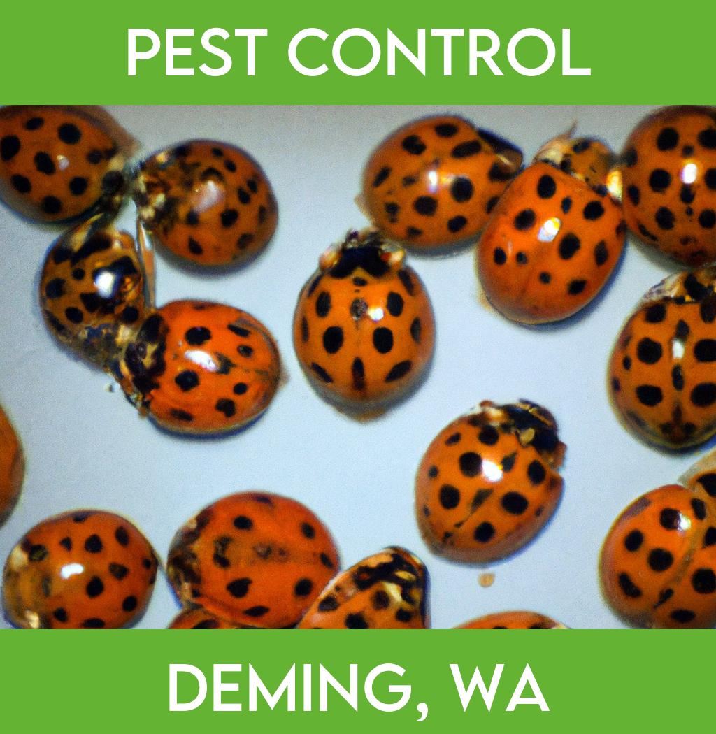 pest control in Deming Washington