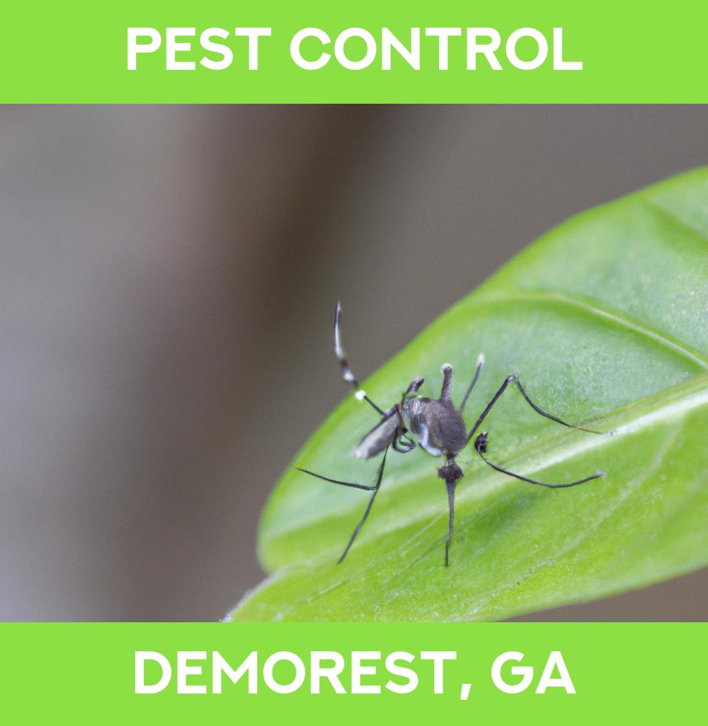 pest control in Demorest Georgia