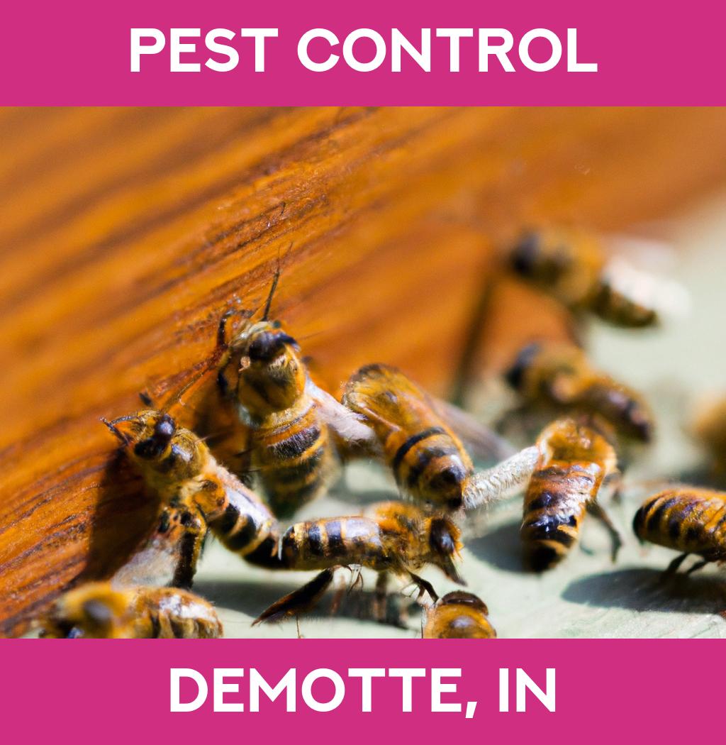 pest control in Demotte Indiana