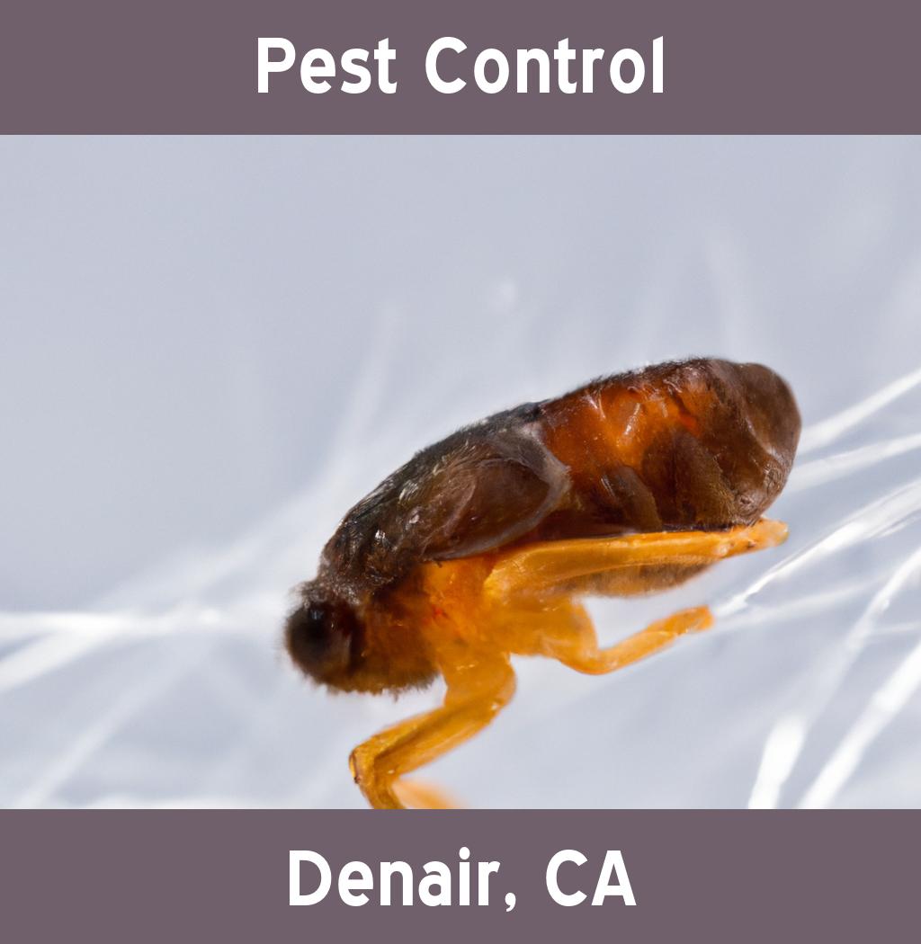 pest control in Denair California