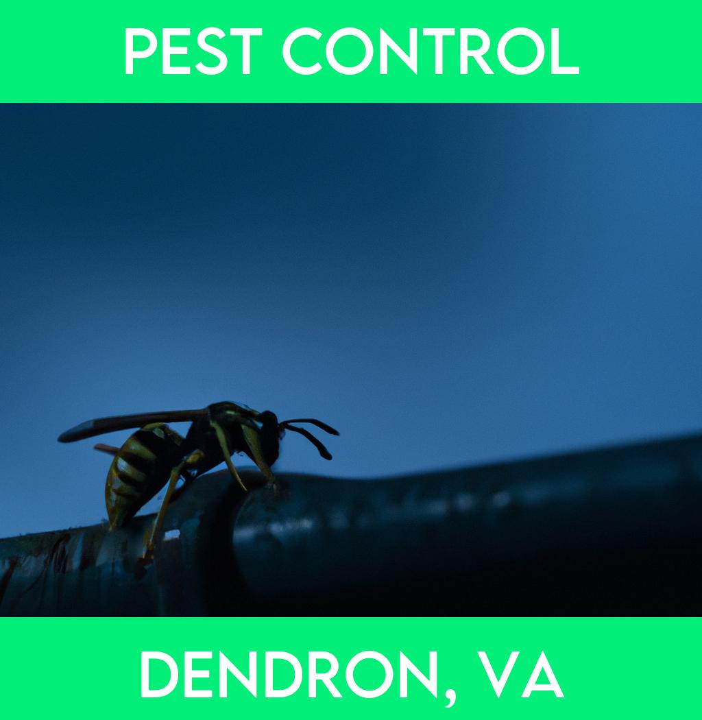 pest control in Dendron Virginia
