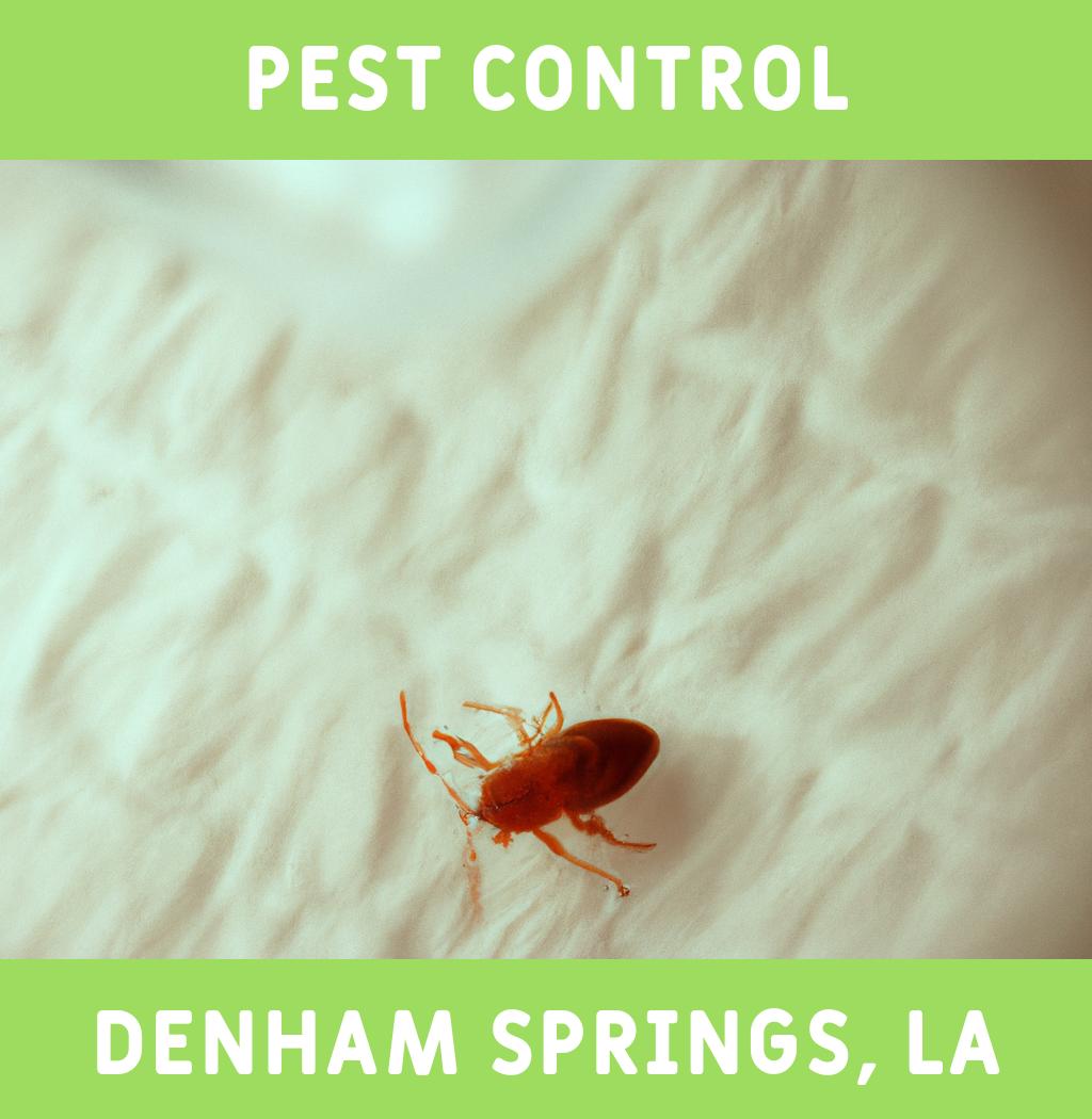 pest control in Denham Springs Louisiana