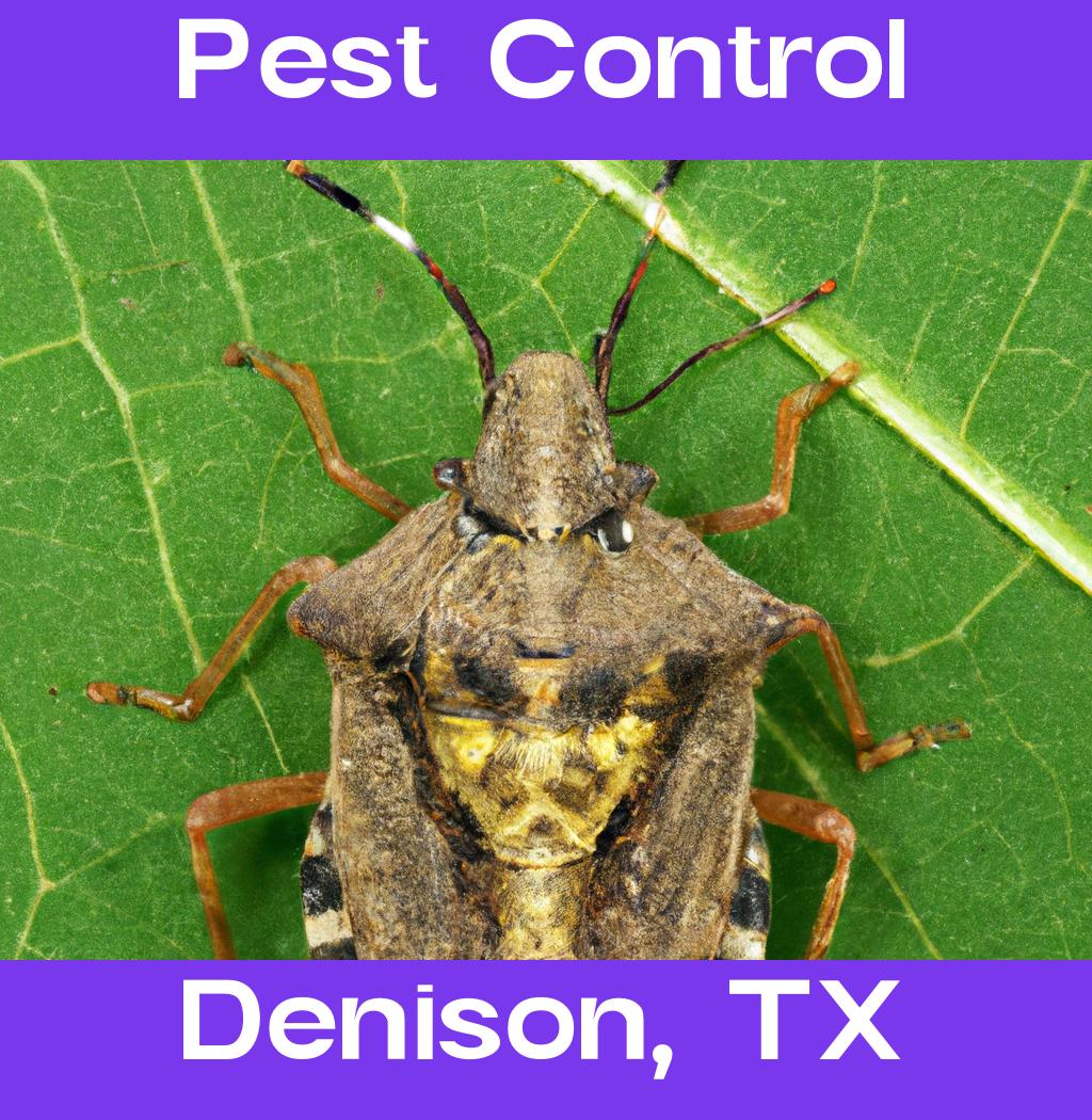 pest control in Denison Texas