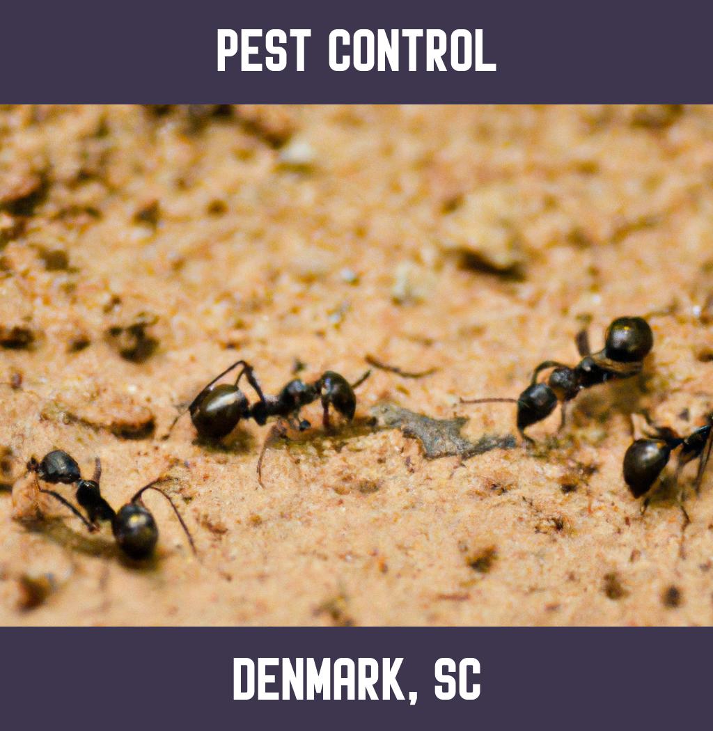 pest control in Denmark South Carolina
