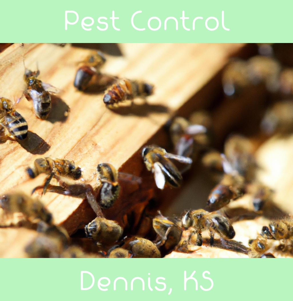 pest control in Dennis Kansas