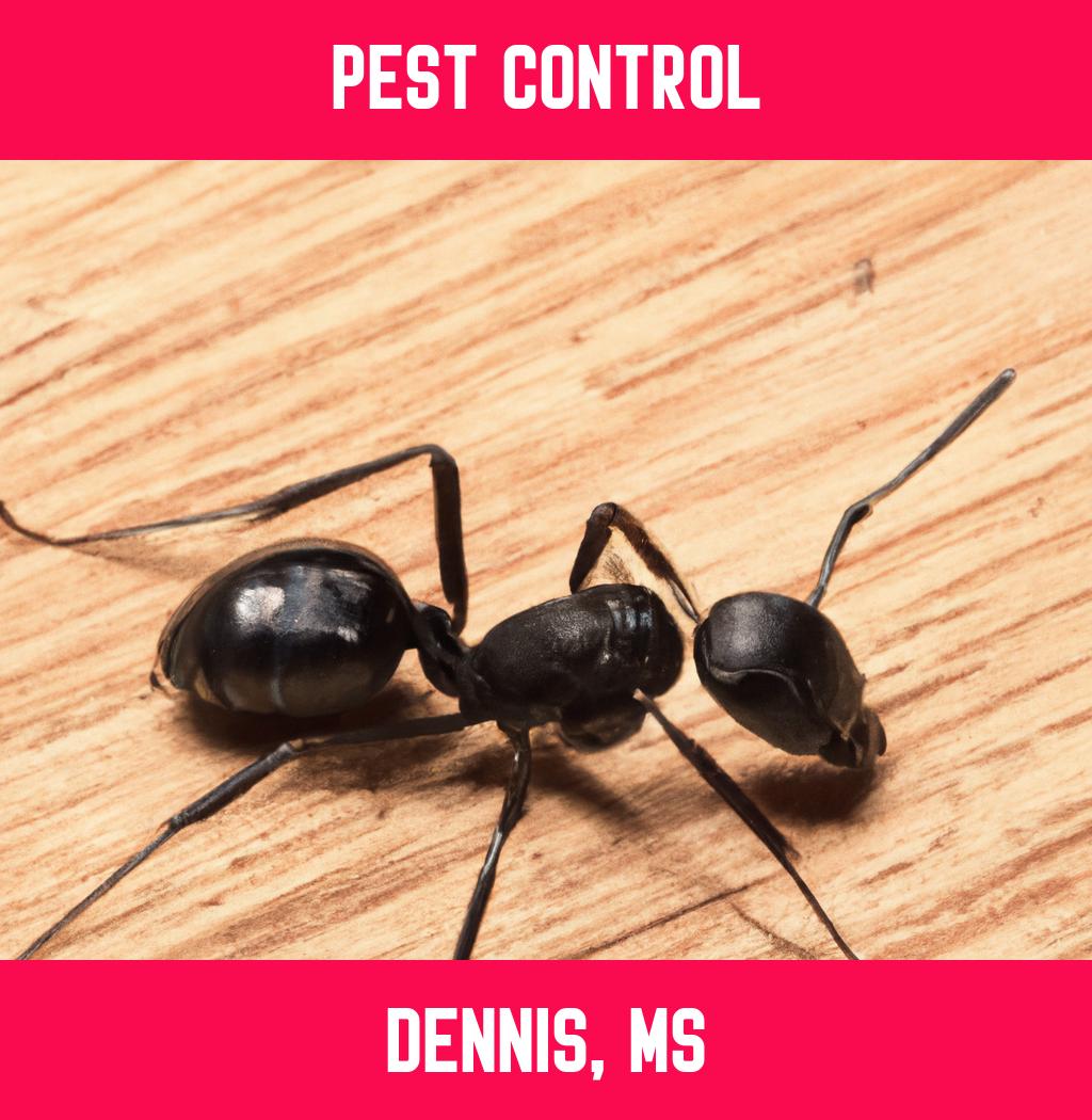 pest control in Dennis Mississippi