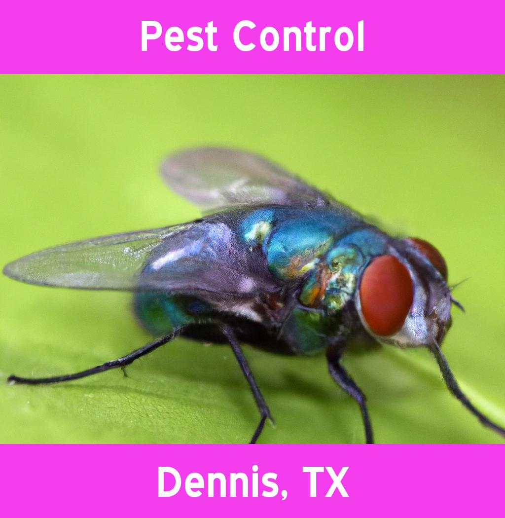 pest control in Dennis Texas