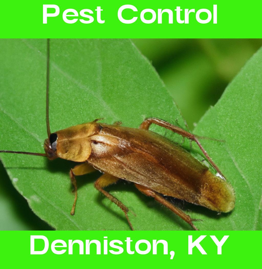 pest control in Denniston Kentucky