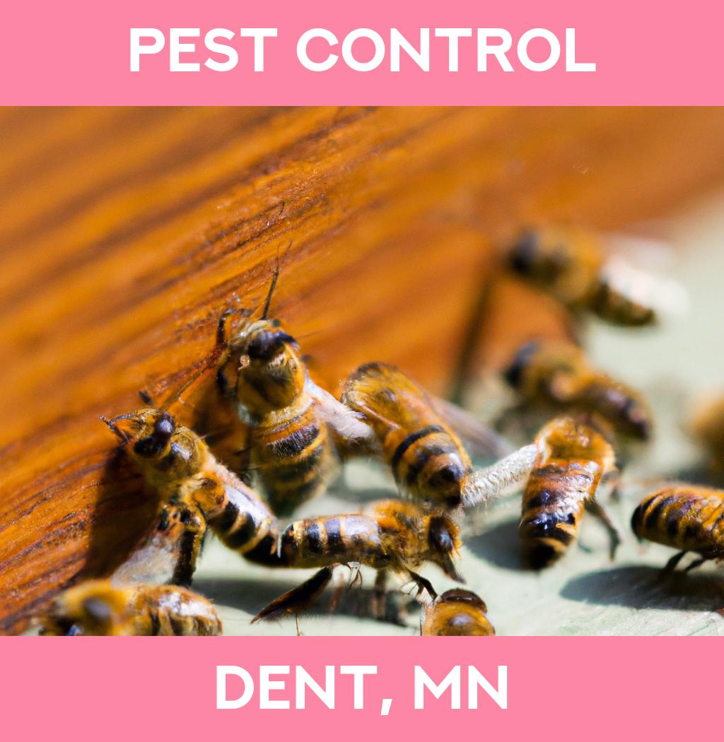 pest control in Dent Minnesota