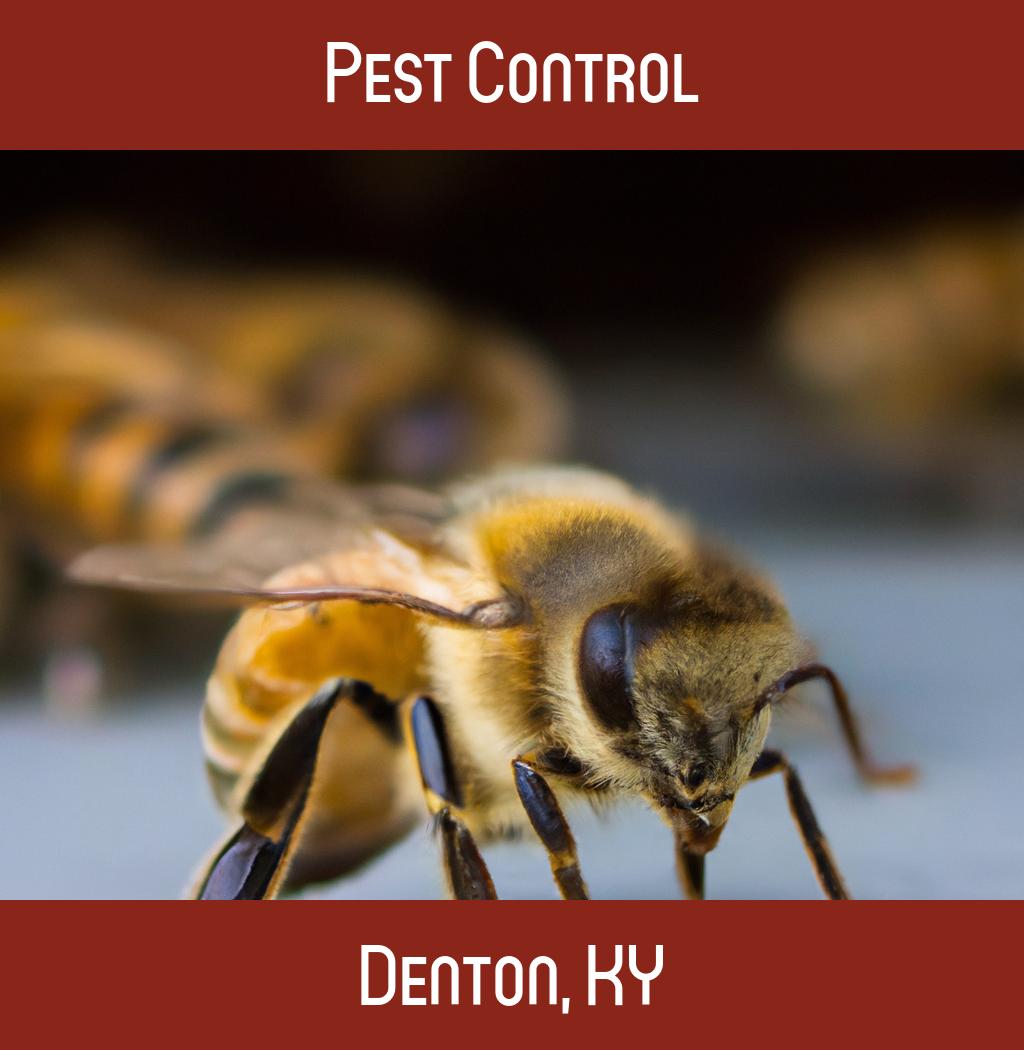 pest control in Denton Kentucky