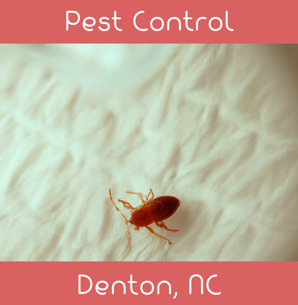 pest control in Denton North Carolina