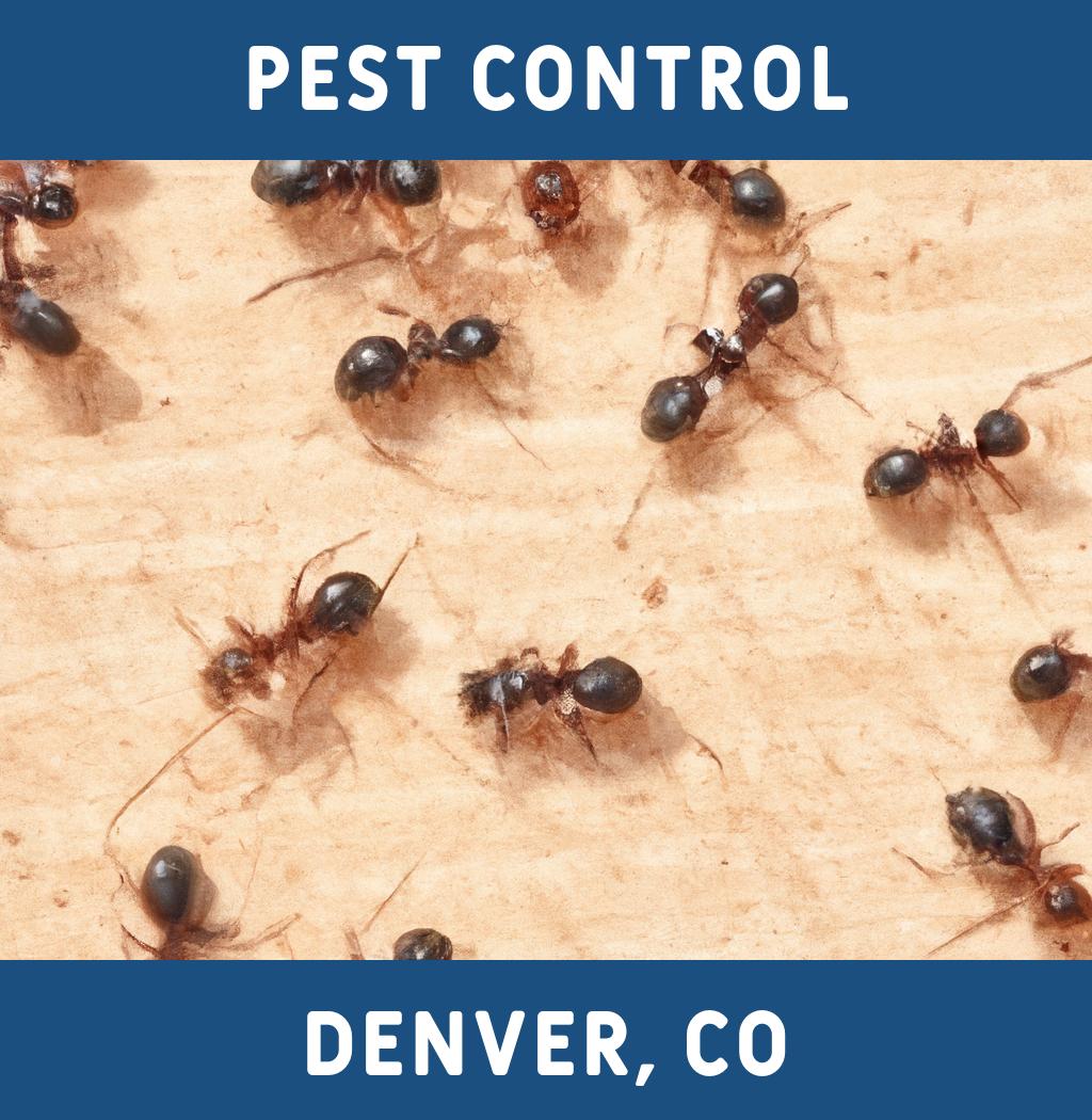 pest control in Denver Colorado