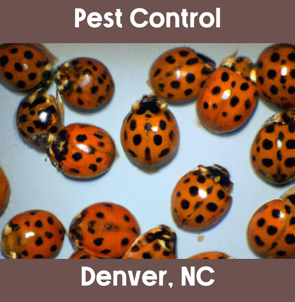 pest control in Denver North Carolina