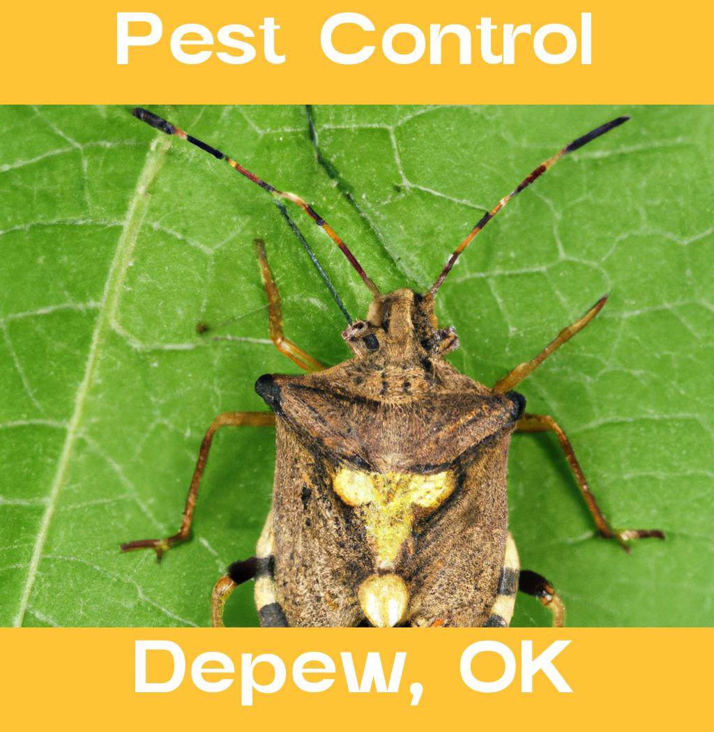 pest control in Depew Oklahoma