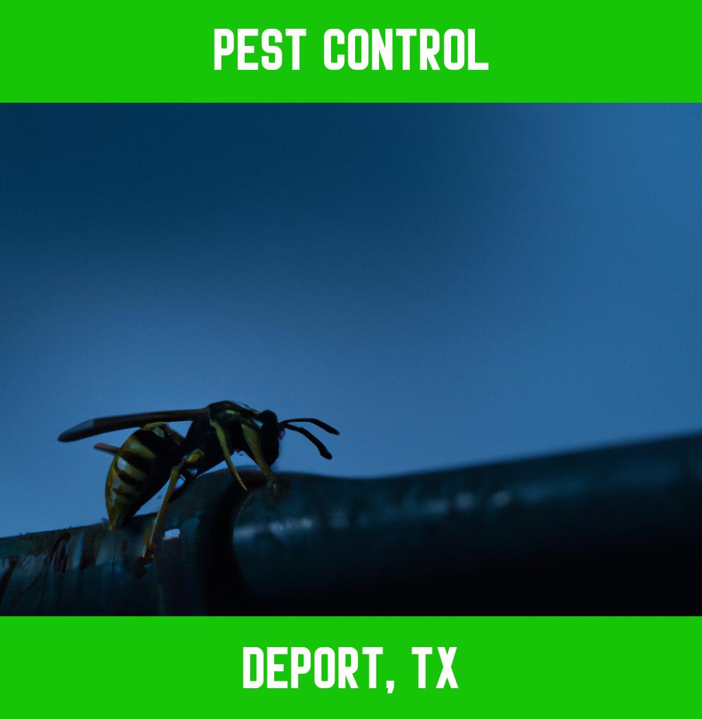 pest control in Deport Texas