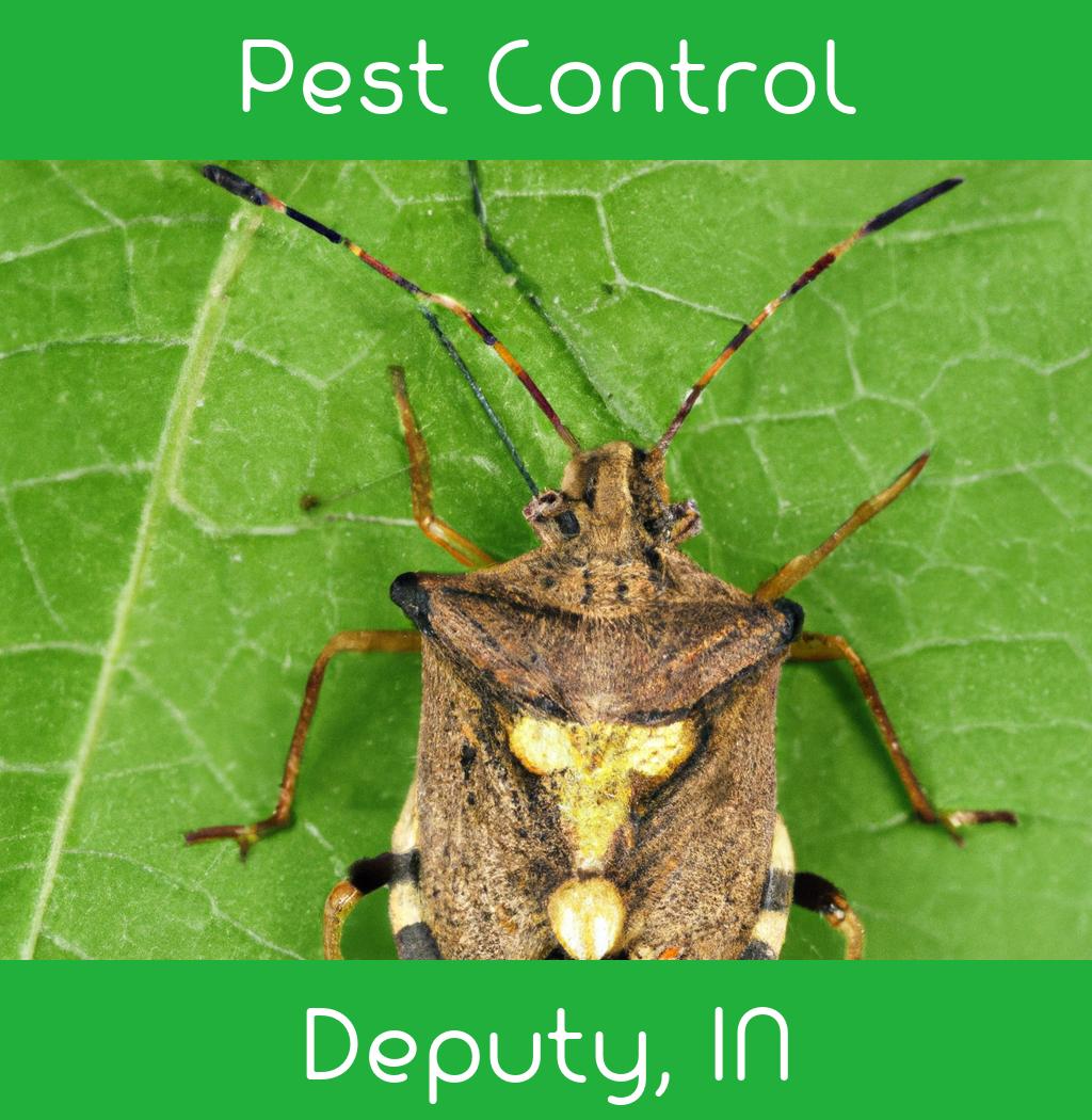 pest control in Deputy Indiana