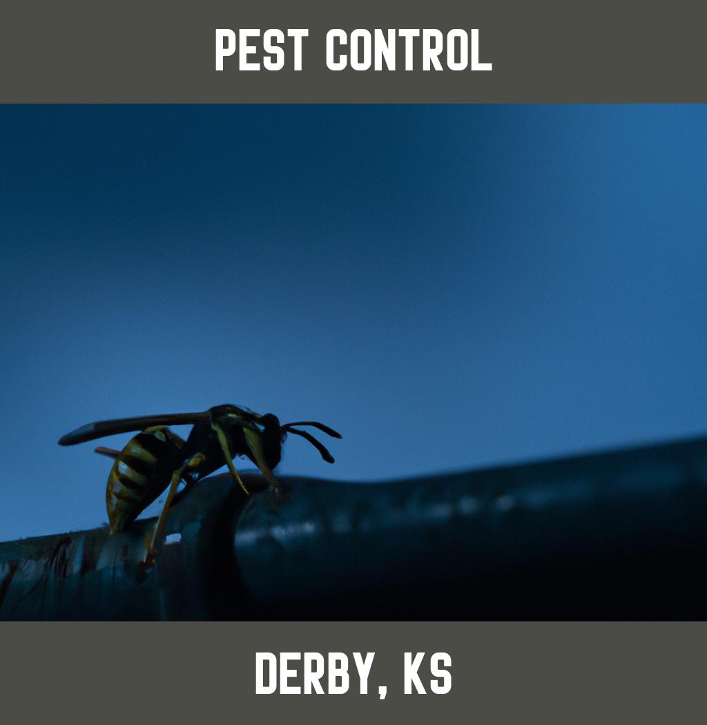 pest control in Derby Kansas