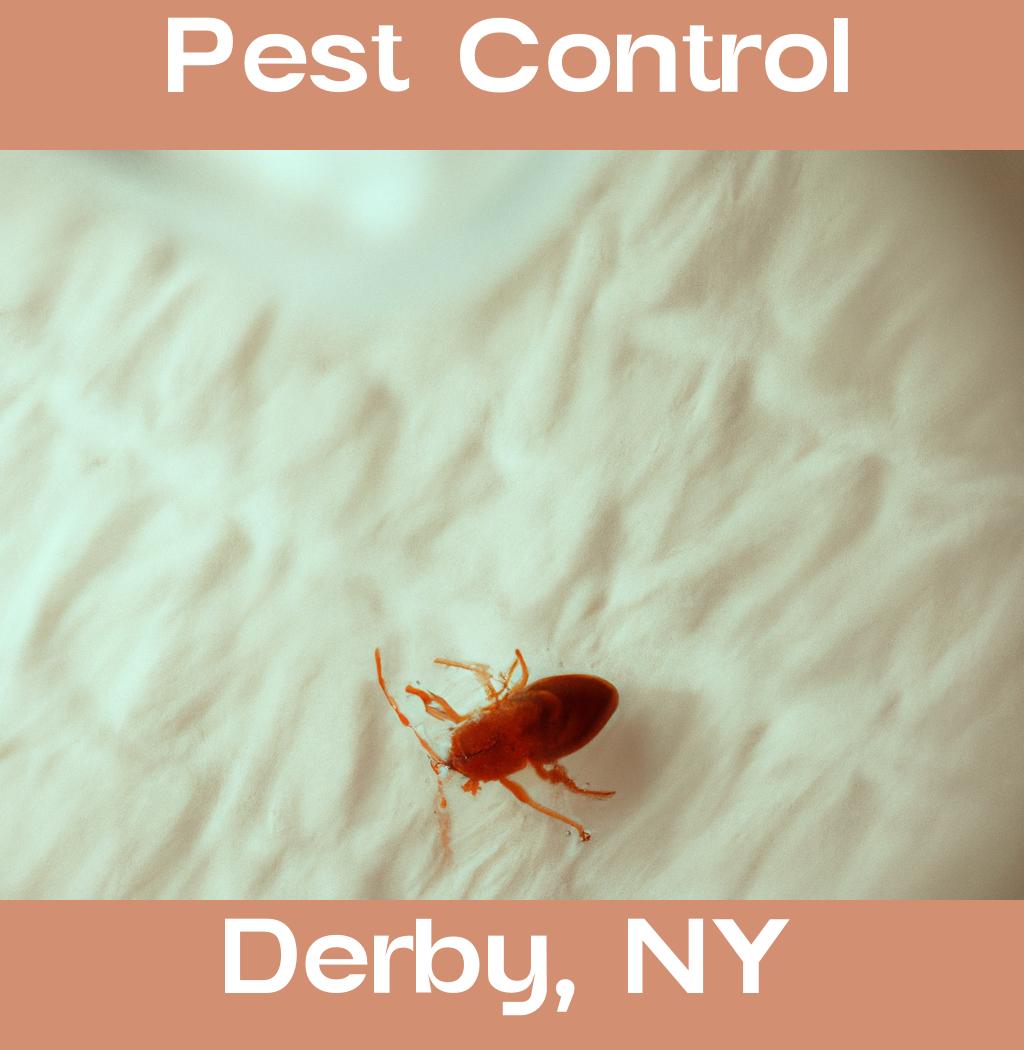 pest control in Derby New York