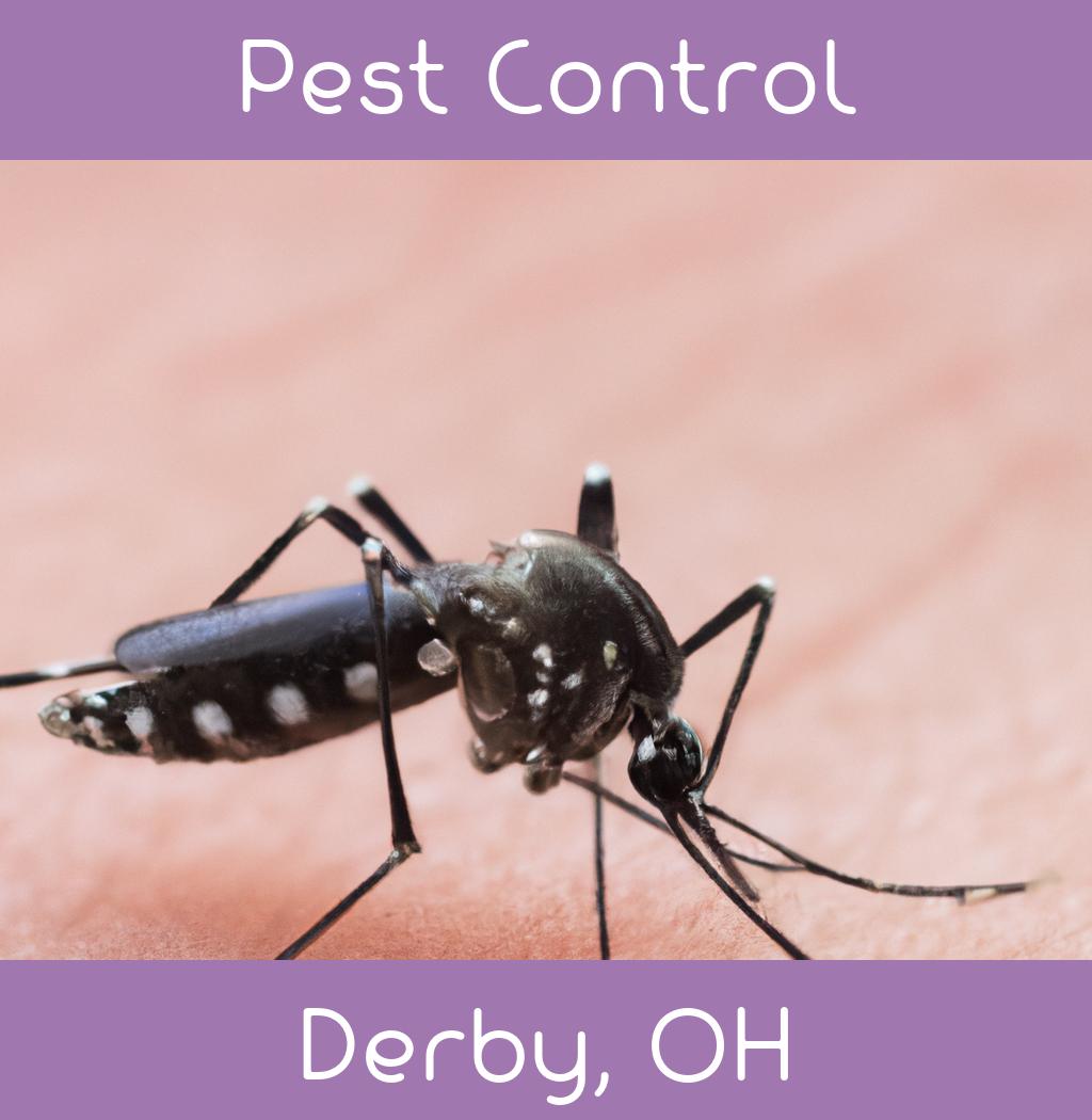 pest control in Derby Ohio