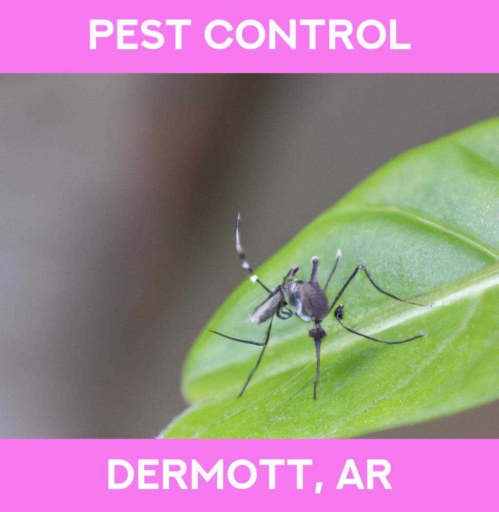 pest control in Dermott Arkansas