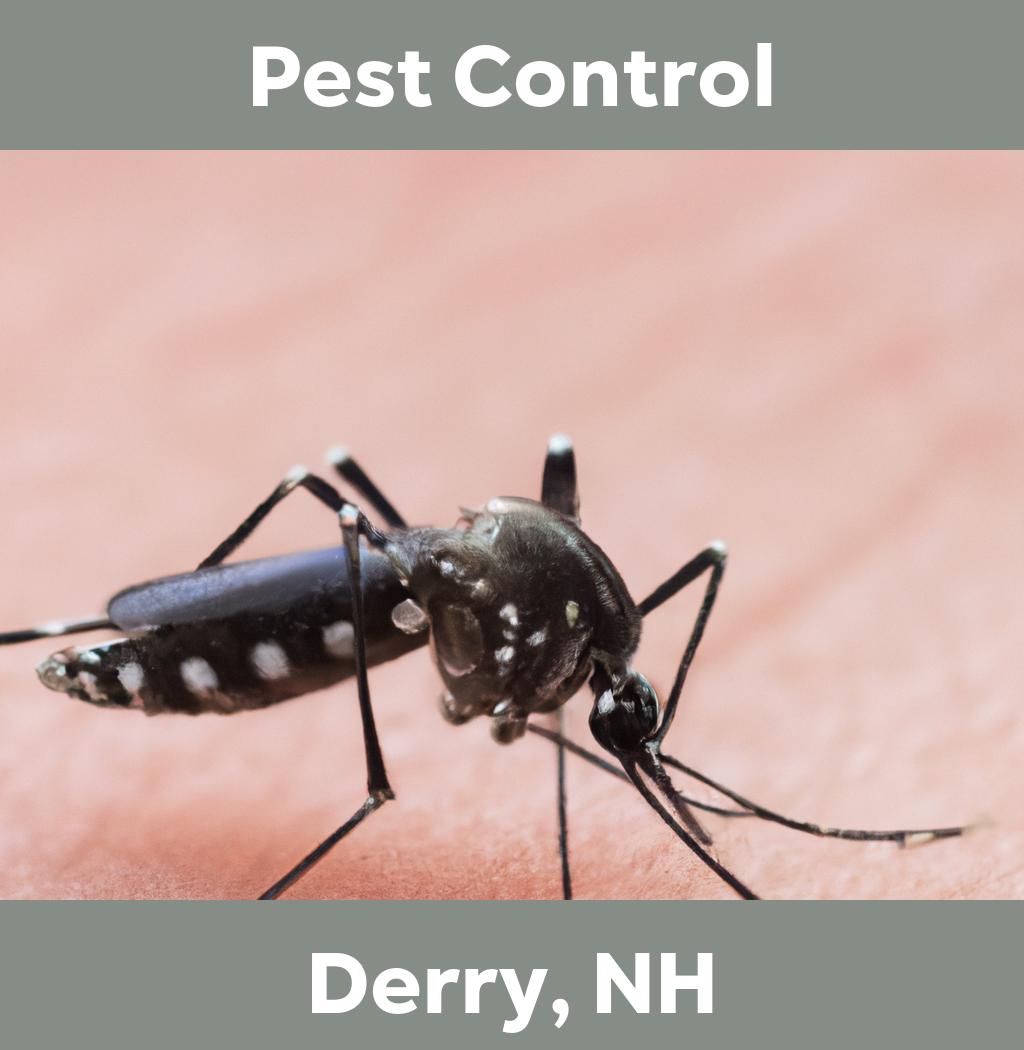 pest control in Derry New Hampshire