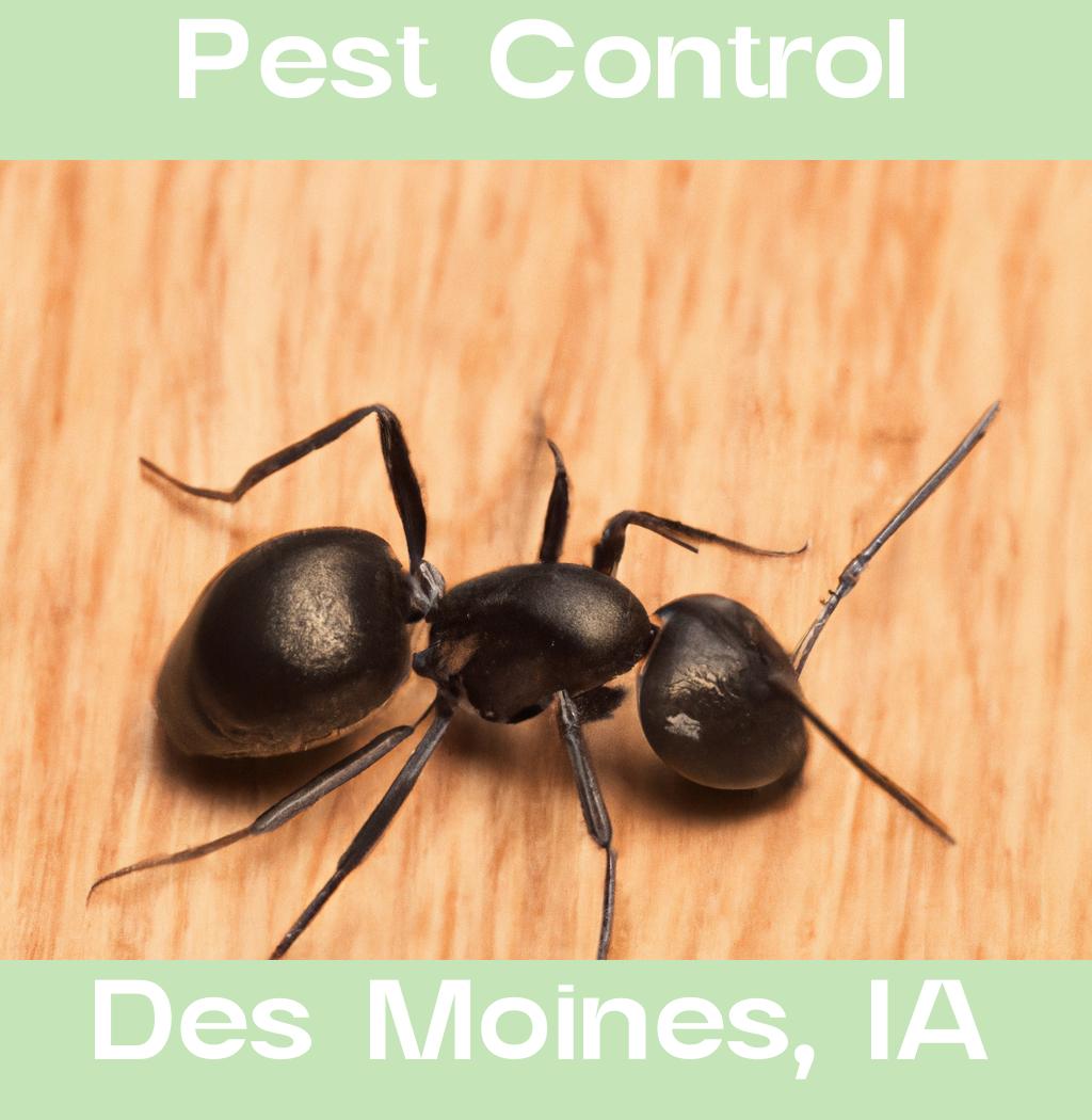 pest control in Des Moines Iowa