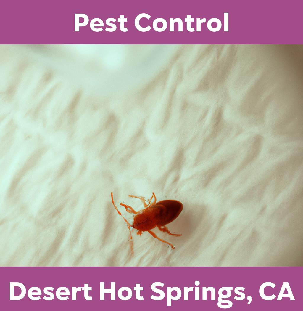 pest control in Desert Hot Springs California