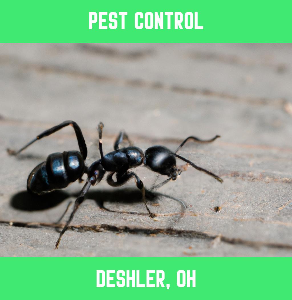pest control in Deshler Ohio