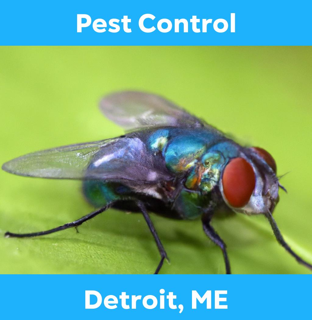 pest control in Detroit Maine