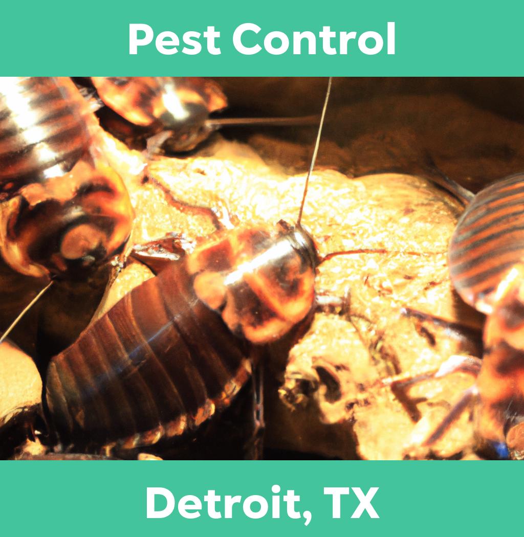 pest control in Detroit Texas