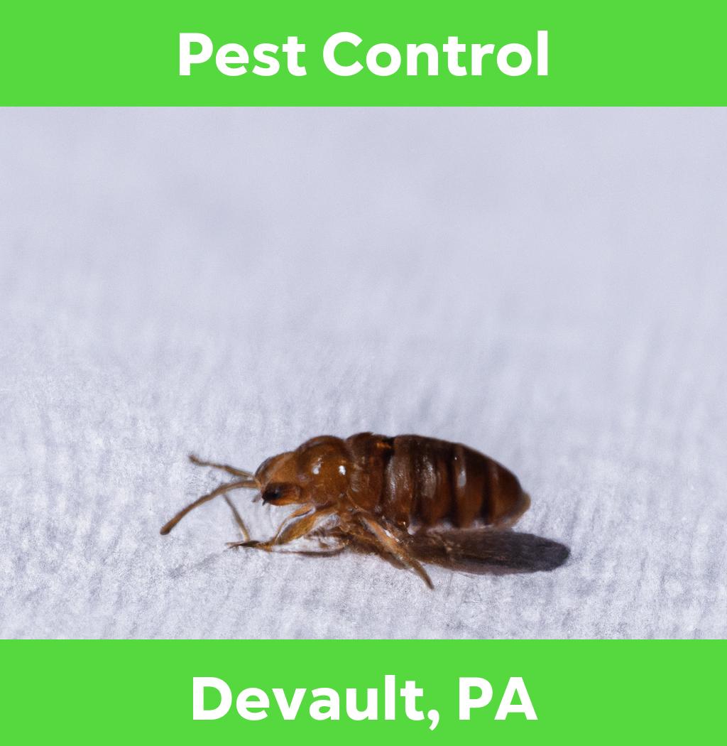 pest control in Devault Pennsylvania