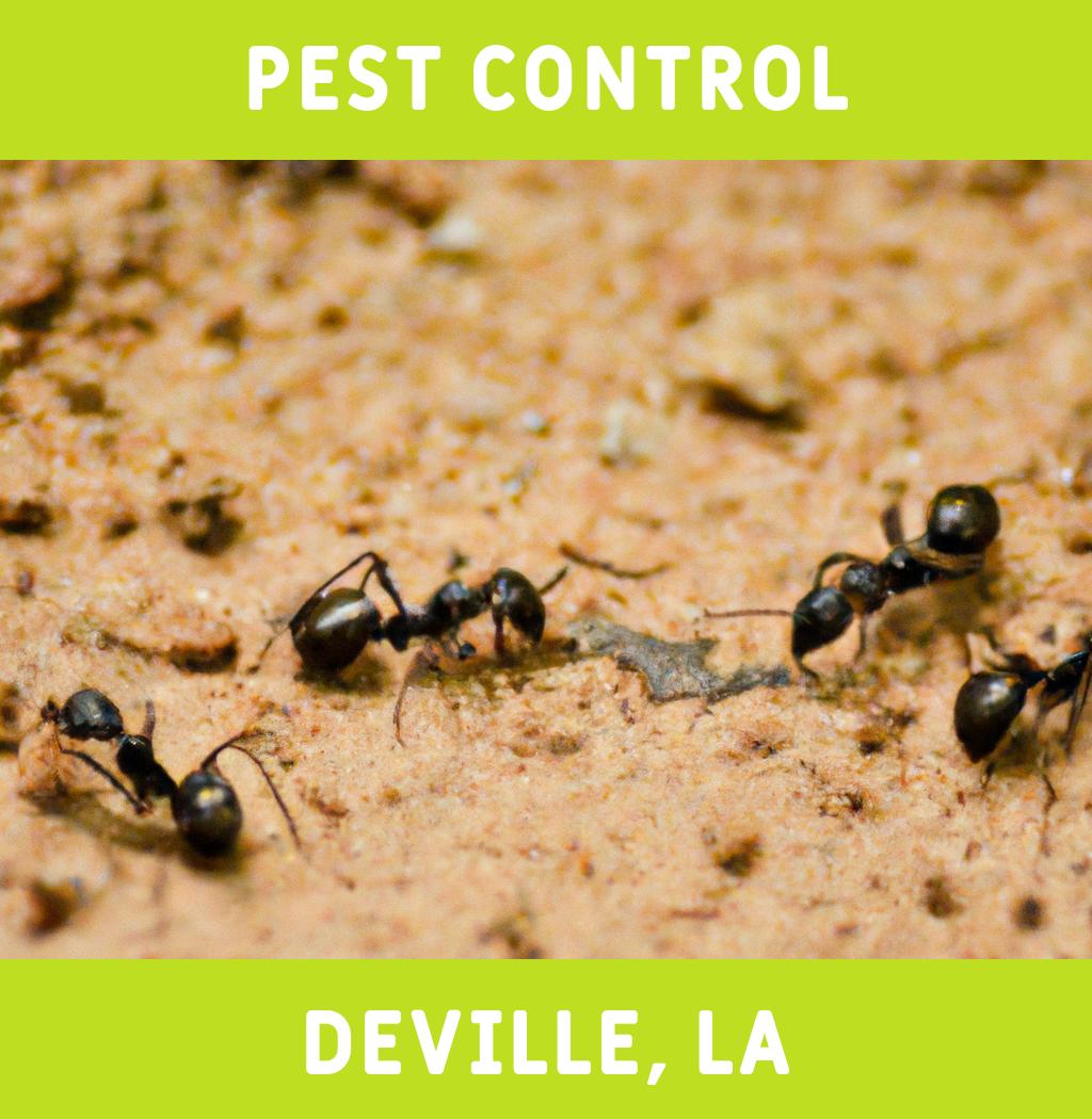 pest control in Deville Louisiana