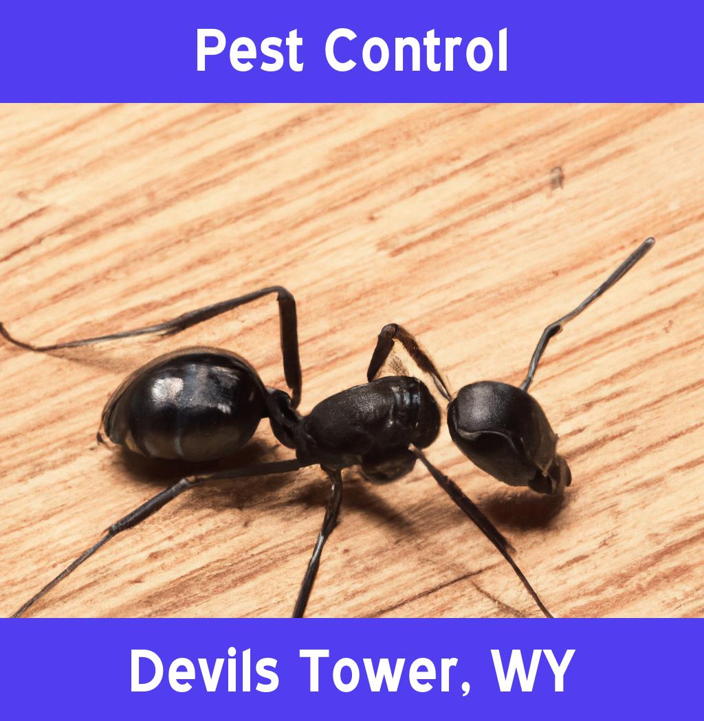 pest control in Devils Tower Wyoming