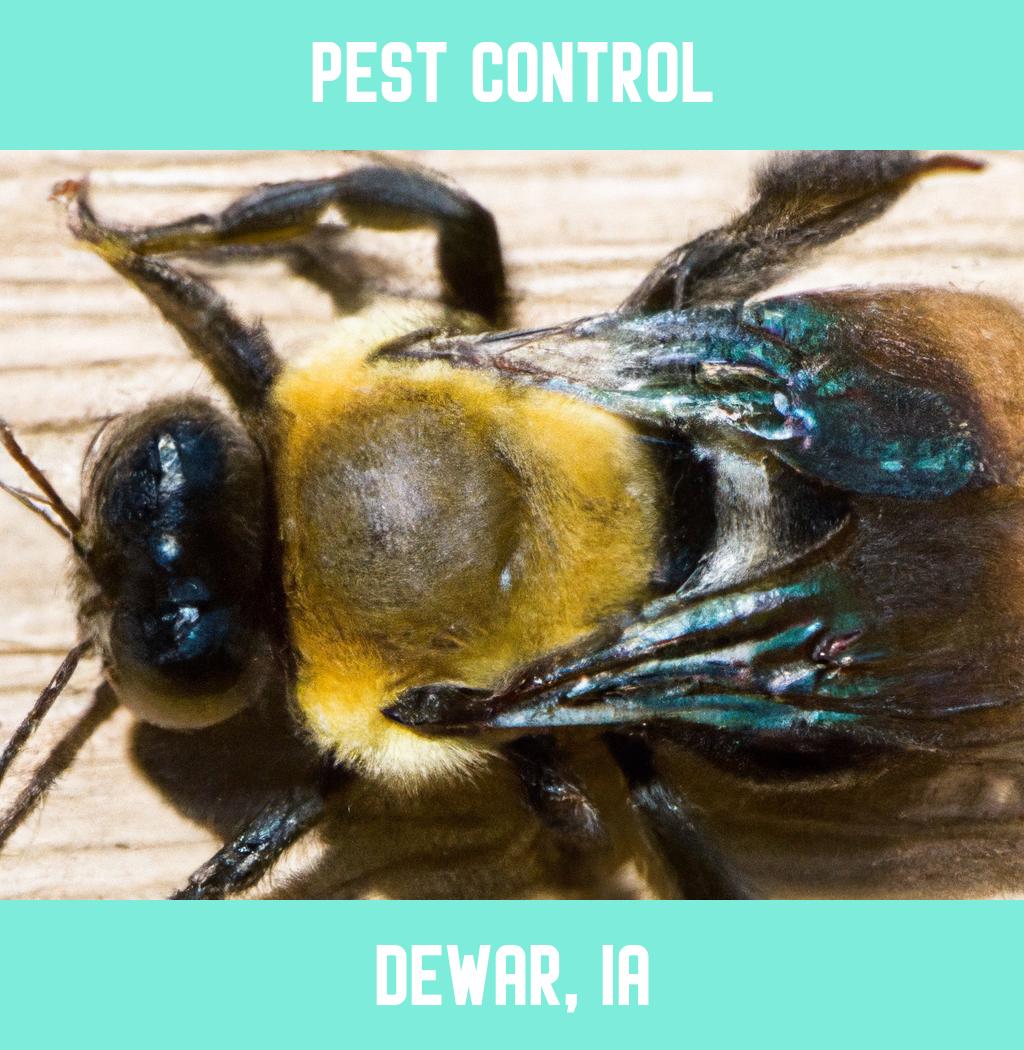 pest control in Dewar Iowa
