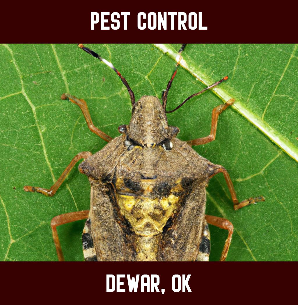 pest control in Dewar Oklahoma