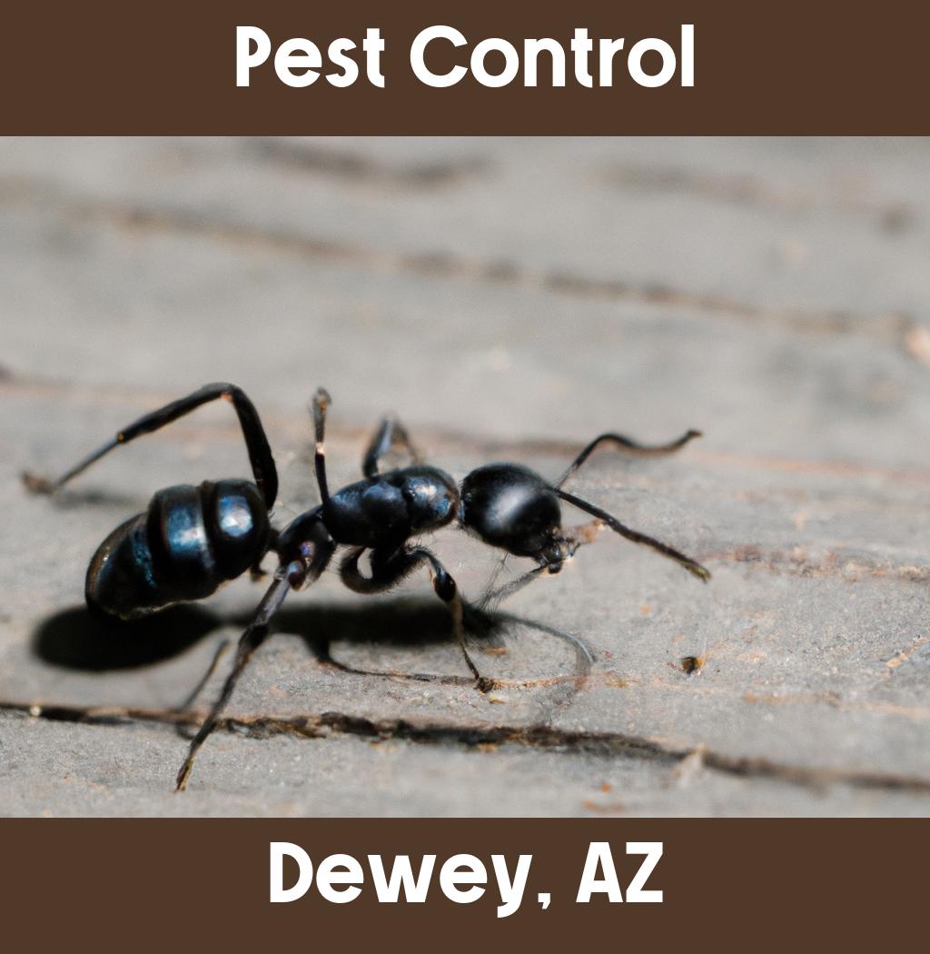 pest control in Dewey Arizona