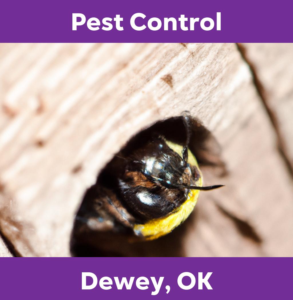 pest control in Dewey Oklahoma