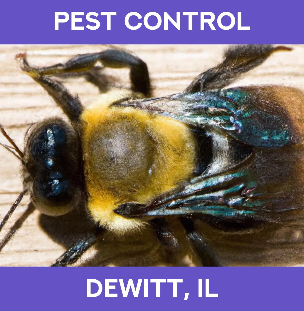pest control in Dewitt Illinois