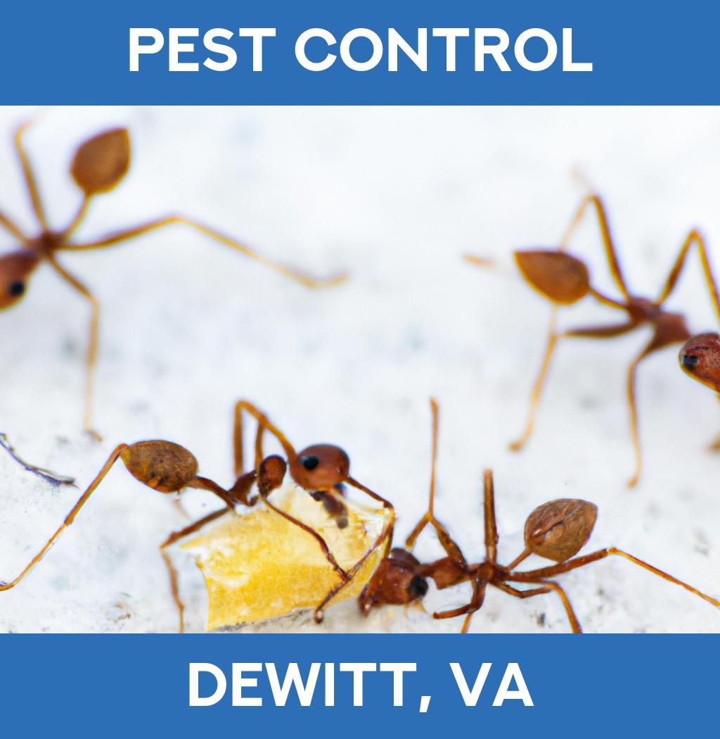 pest control in Dewitt Virginia