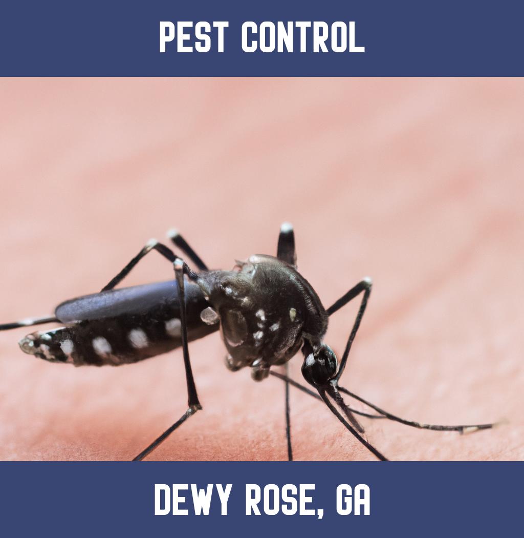 pest control in Dewy Rose Georgia
