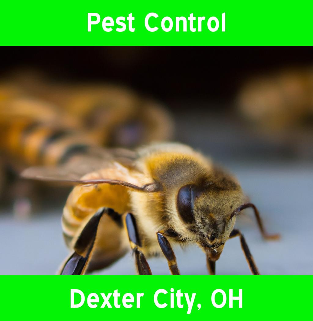 pest control in Dexter City Ohio